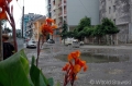 Ulica (centrum Batumi)