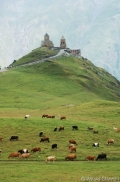 Cminda Sameba - święte miejsce w Wysokim Kaukazie